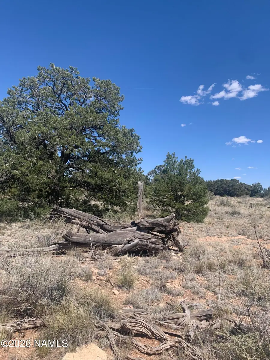 135 S Wyandotte Road, Williams, AZ 86046 - #3