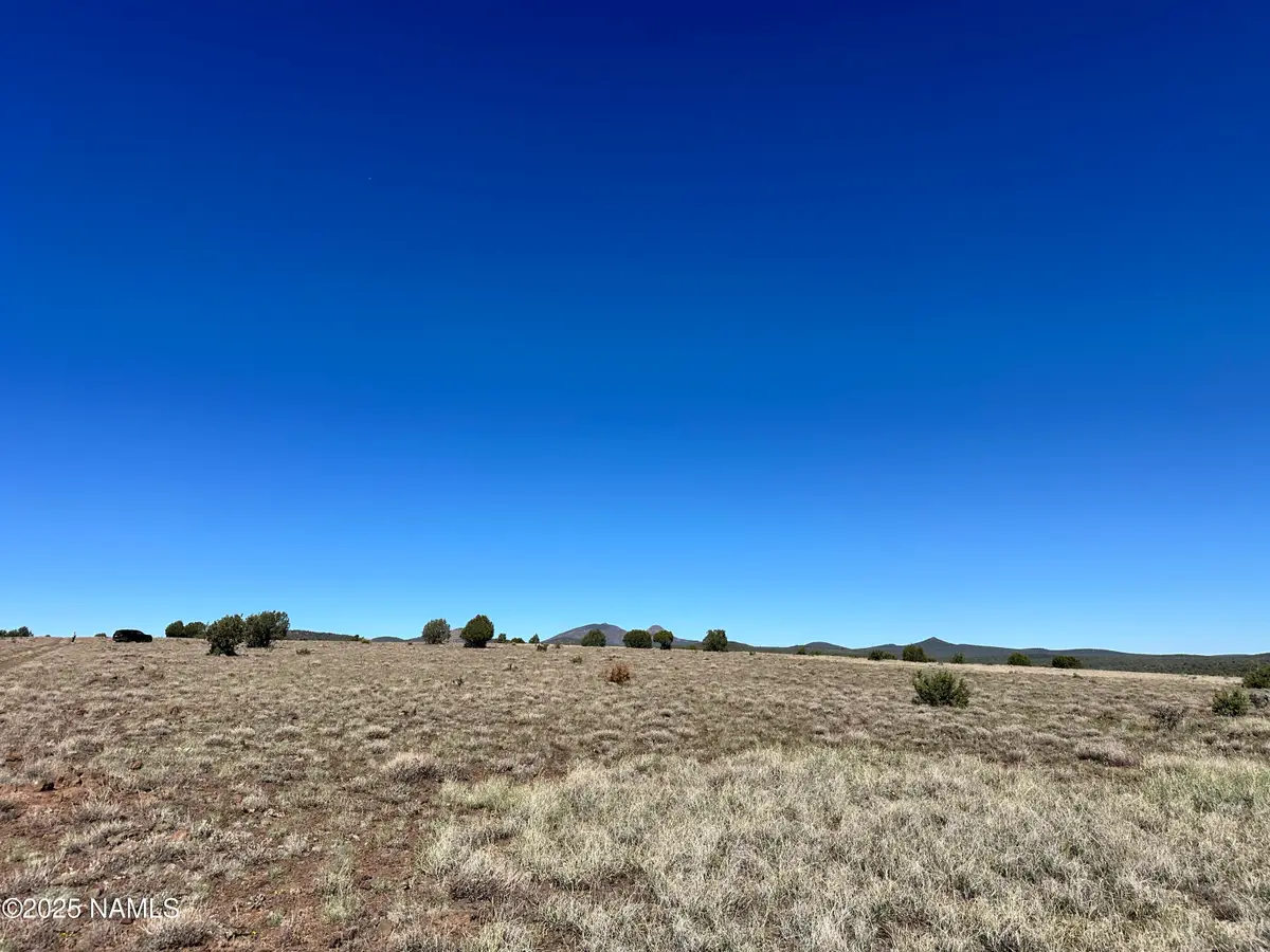 0 Dozer, Ash Fork, AZ 86320 - #1