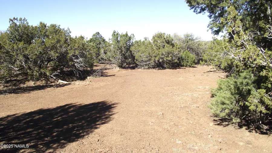 803 E Pawpaw Lane, Williams, AZ 86046 - Image #2