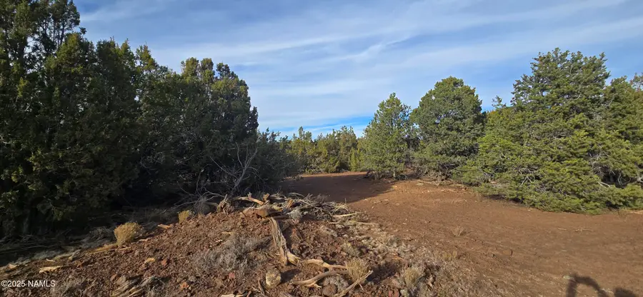 2393 E Starry Night Way, Williams, AZ 86046 - Image #3