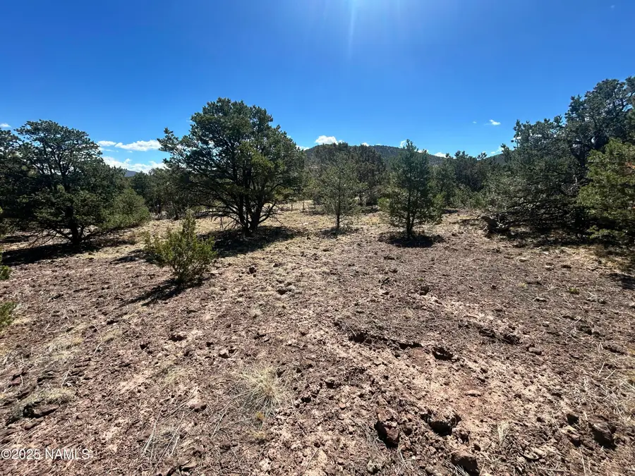 1610 W Wolf Lane, Williams, AZ 86046 - Image #2