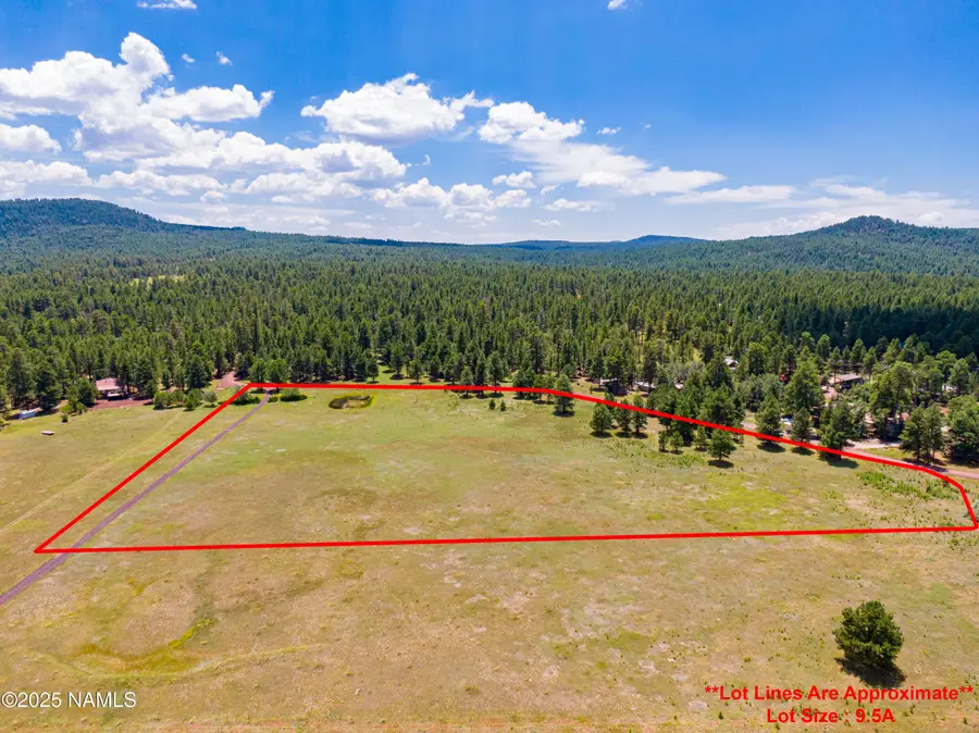 401 Lake Shore Drive, Mormon Lake, AZ 86038 - Image #2