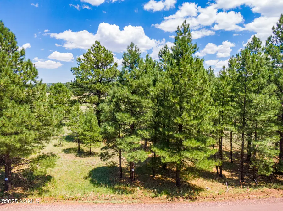 401 Lake Shore Drive, Mormon Lake, AZ 86038 - Image #3