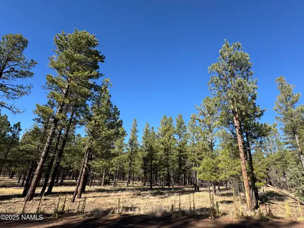 Lot 3L N Quintana Drive, Flagstaff, AZ 86001