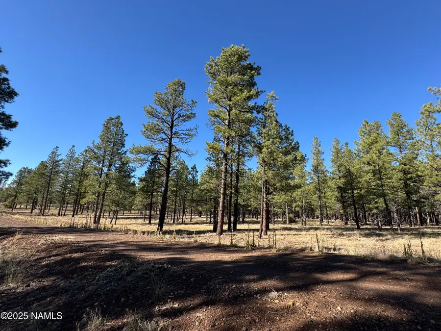 Lot 3L N Quintana Drive, Flagstaff, AZ 86001 - Image #2