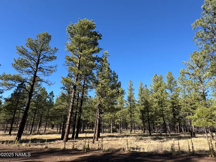 Lot 3L N Quintana Drive, Flagstaff, AZ 86001 - Image #3