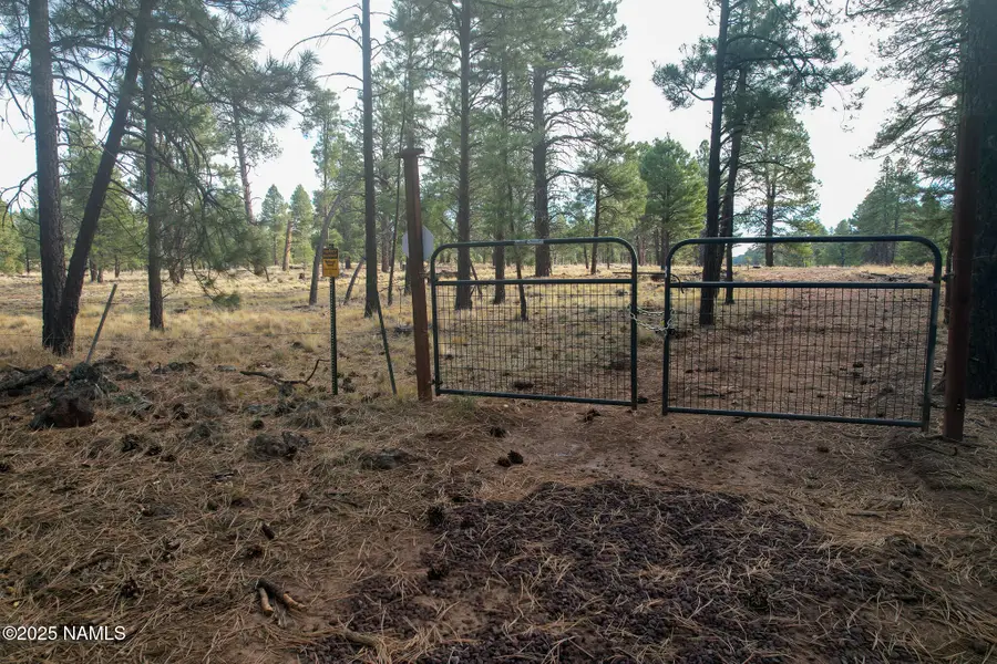 4540 Forrest Ranches Loop, Parks, AZ 86018 - Image #3