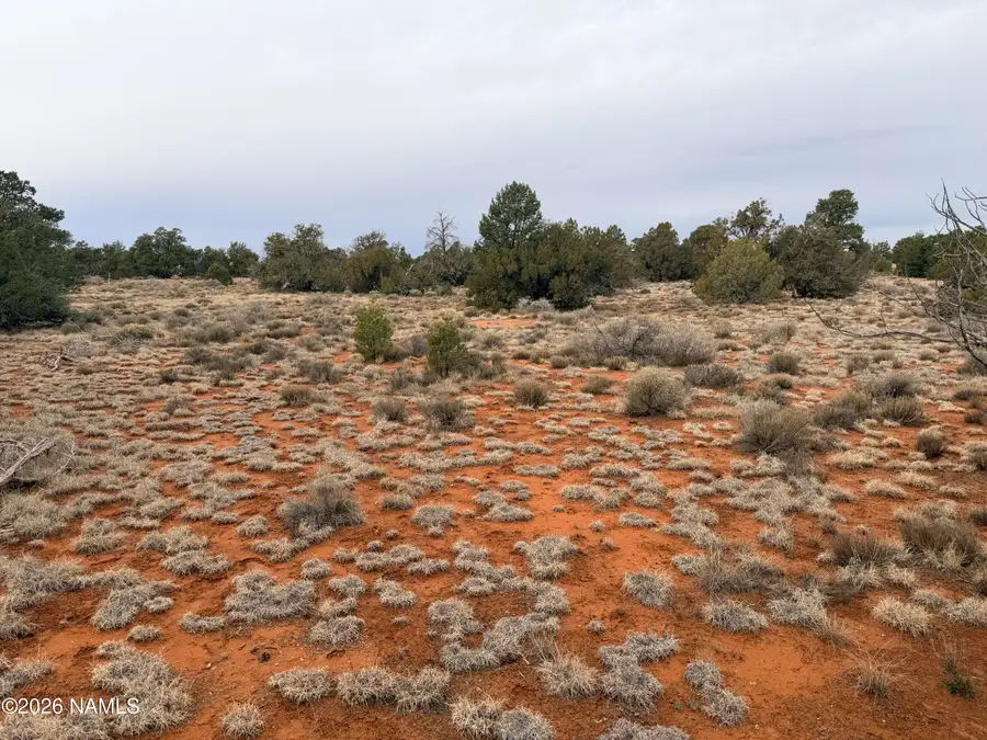 2143 S Kaibab Road, Williams, AZ 86046 - #3