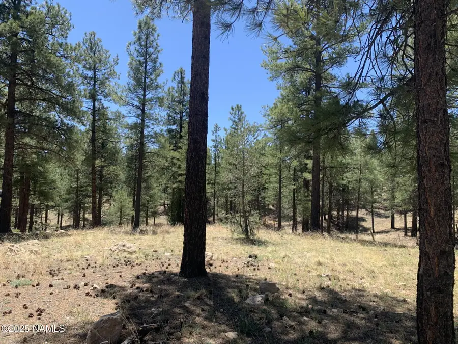 2343 E Del Rae Drive, Flagstaff, AZ 86005 - Image #2