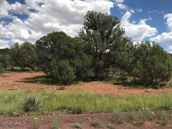 0000 Parcel Number 10706429, Concho, AZ 85924