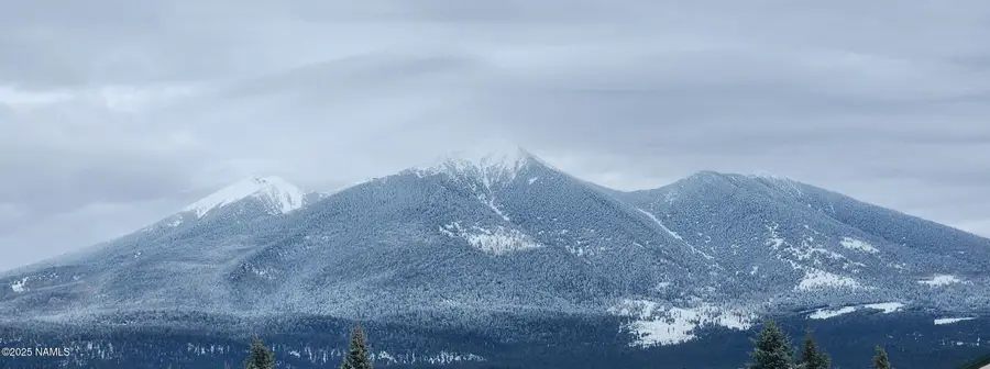 8570 W Suzette Lane, Flagstaff, AZ 86001 - Image #3