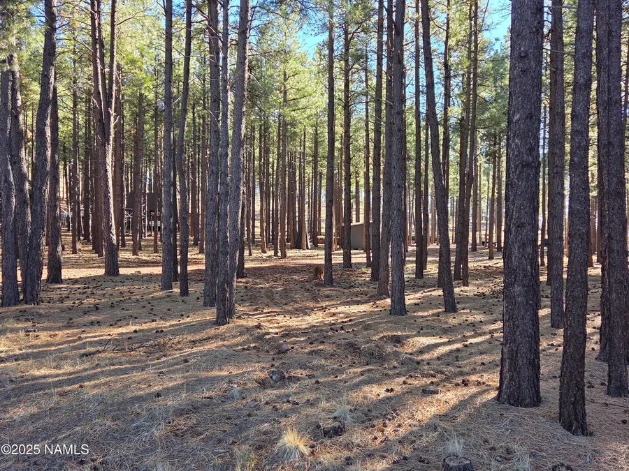 13398 E Fallow Deer Road, Parks, AZ 86018 - Image #2