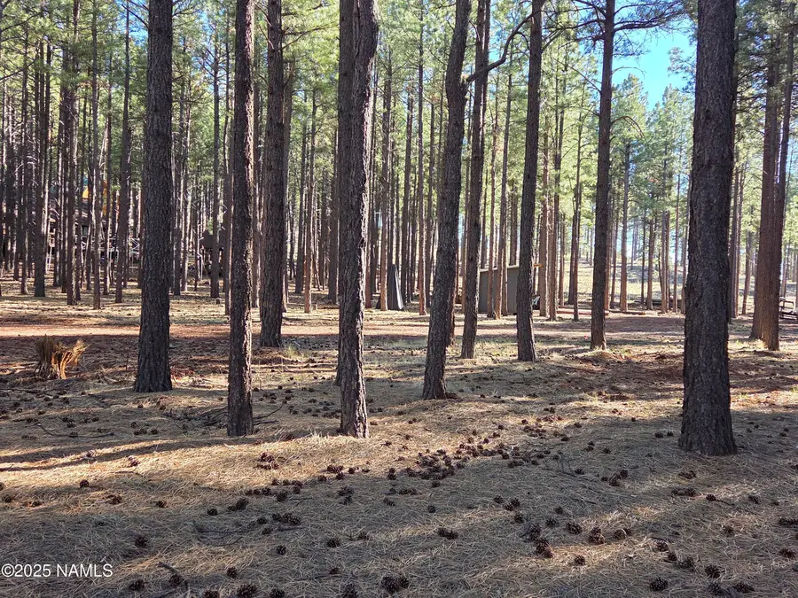 13398 E Fallow Deer Road, Parks, AZ 86018 - Image #3