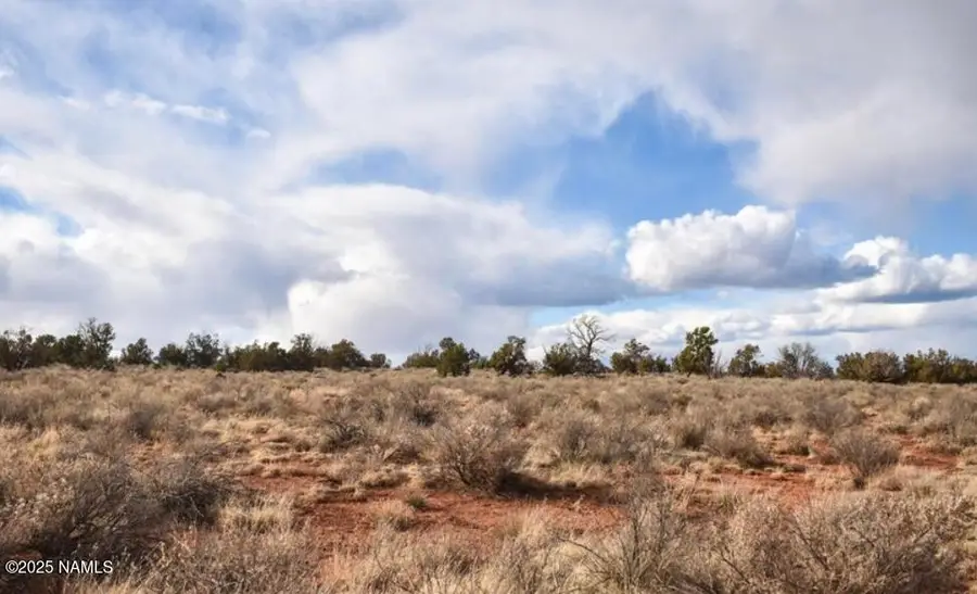 1625 E Laramie Drive, Williams, AZ 86046 - Image #3