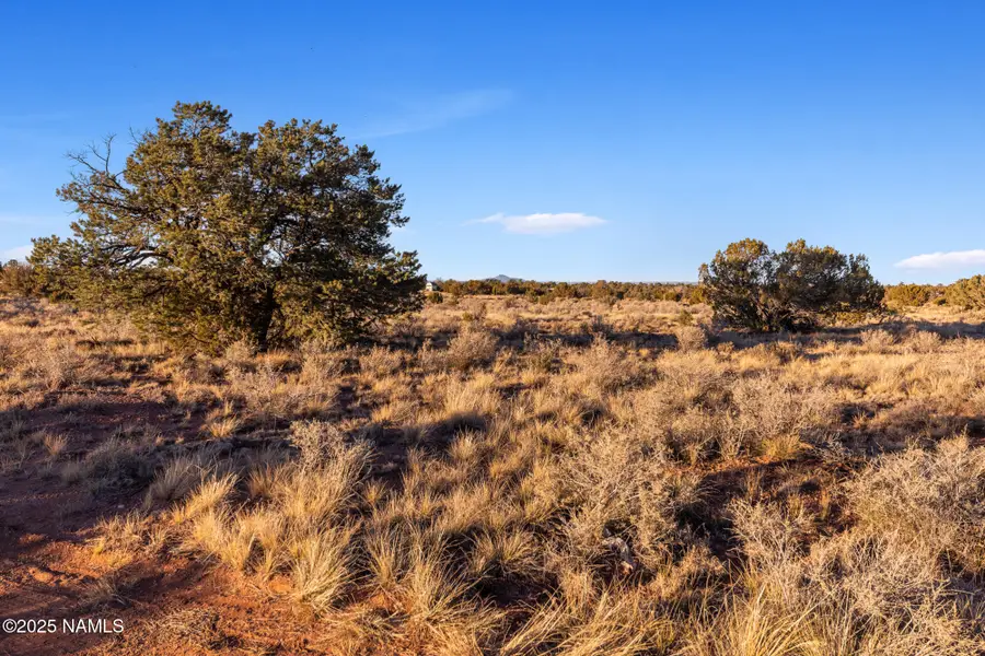 4449 E Cedar Road, Williams, AZ 86046 - Image #2
