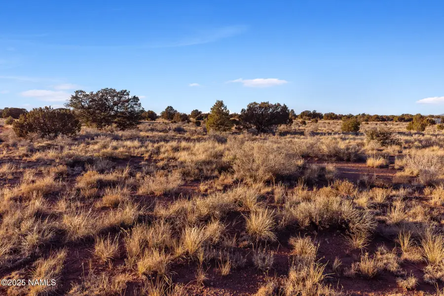 4411 E Cedar Road, Williams, AZ 86046 - Image #3