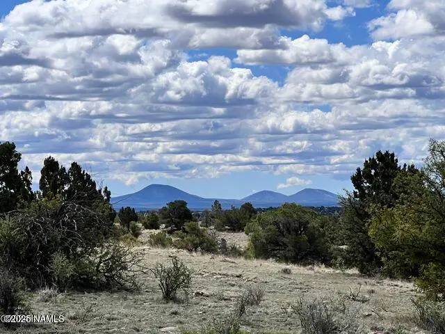 6661 S Roadrunner Lane, Williams, AZ 86046 - #3