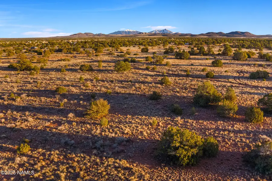 4411 E Cedar Road, Williams, AZ 86046 - #3