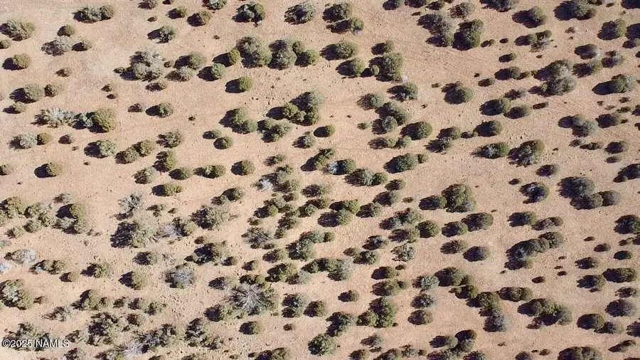 54 N7493, Puerco, AZ 85936 - Image #3