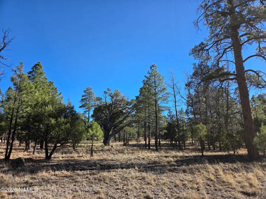 4302 Timberline Drive, Happy Jack, AZ 86024 - Image #3