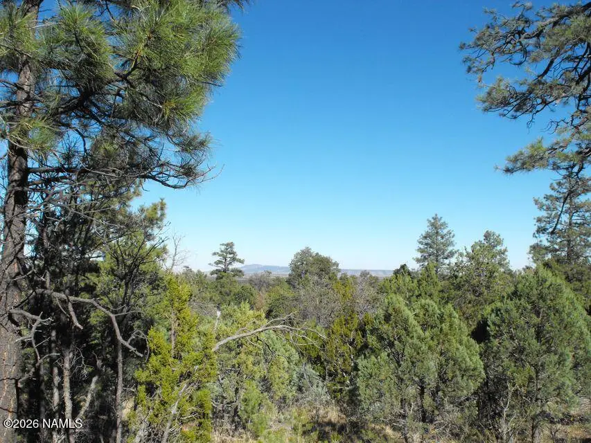 5247 Sunset Ridge Loop, Happy Jack, AZ 86024 - Image #2