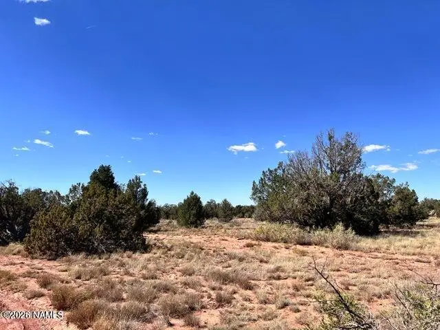 2937 S Fair Oaks, Williams, AZ 86046 - Image #3