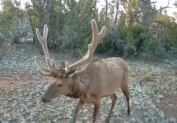 Lot 186b Bull Run Road, Williams, AZ 86046