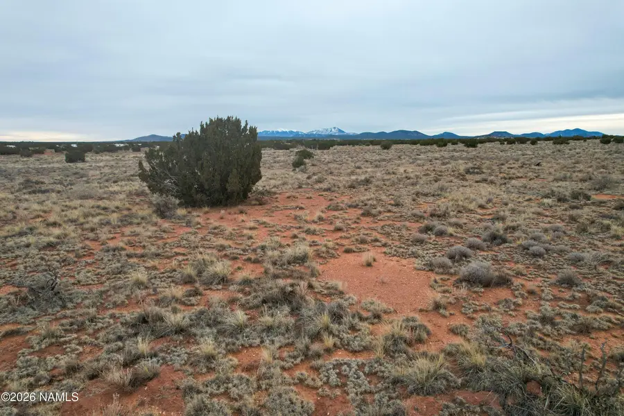 3695 S Eva Drive, Williams, AZ 86046 - Image #2