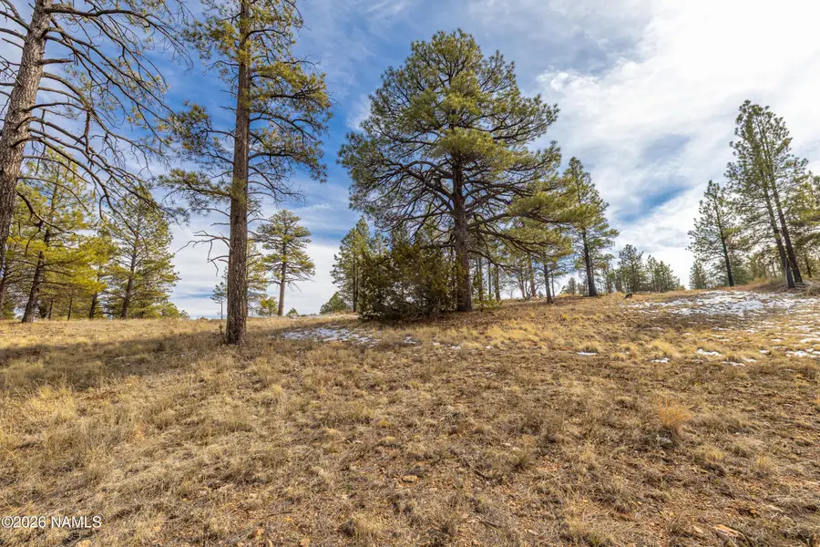 378 S Fourth Street, Flagstaff, AZ 86004 - Image #2