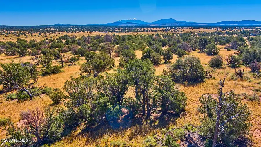 240 N Wyandotte Road, Williams, AZ 86046 - #3