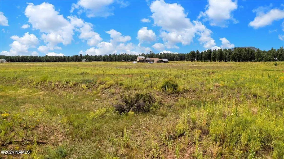 9290 Ranch At The Peaks Way, Flagstaff, AZ 86001 - #1