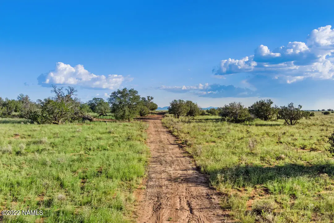 2907 S Alden, Williams, AZ 86046 - #1