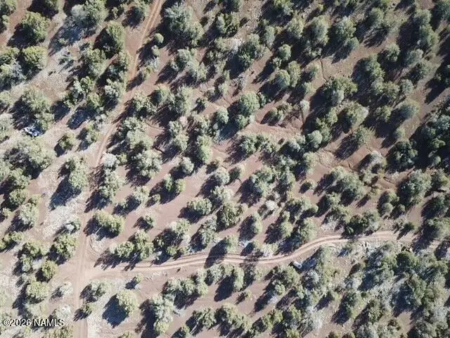 872 E Deerlick Trail, Williams, AZ 86046 - #1