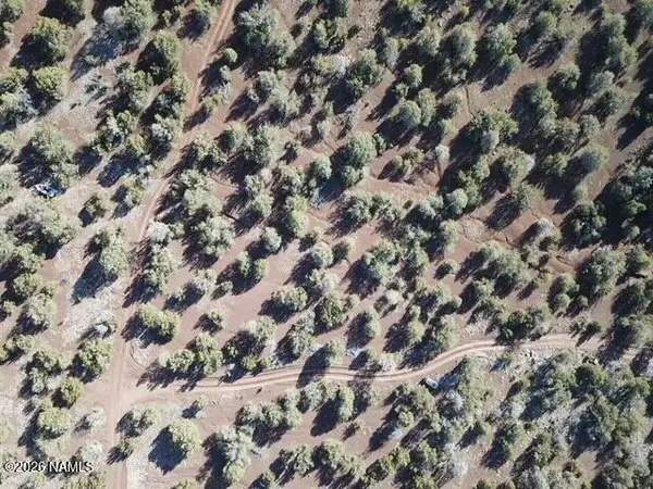 908 E Deerlick Trail, Williams, AZ 86046