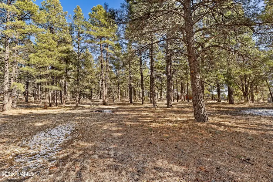 65 S Ansley Lane, Parks, AZ 86018 - #2