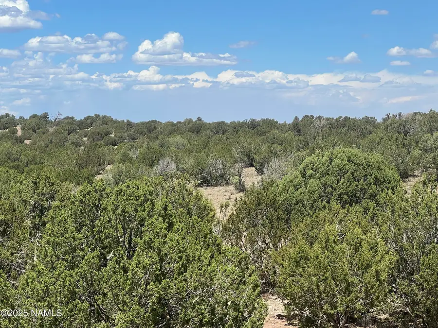 3472 Whitetail Loop, Williams, AZ 86046 - #3