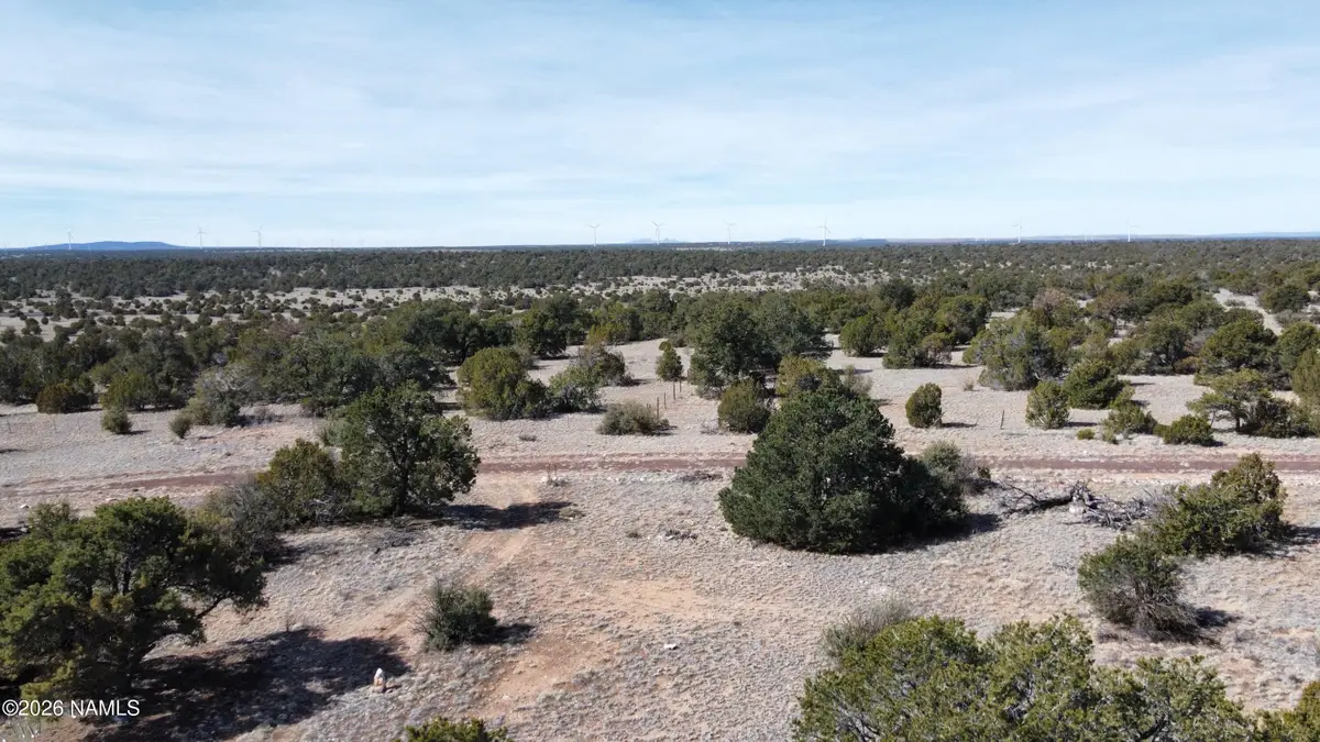 13537 Bly Station Road, Williams, AZ 86046 - #1