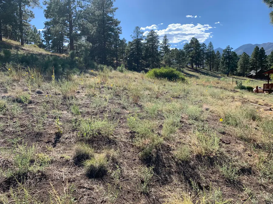 11668 N Rope Arabian Road, Flagstaff, AZ 86004 - #3