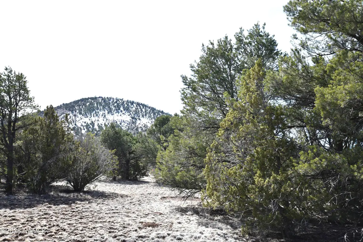 7590 Daisy Drive, Williams, AZ 86046 - #1