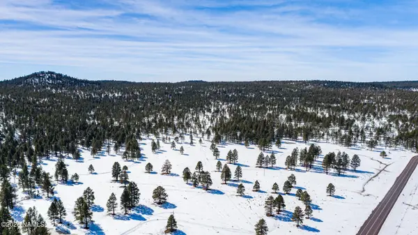 902 Fulton Springs Drive, Mormon Lake, AZ 86038