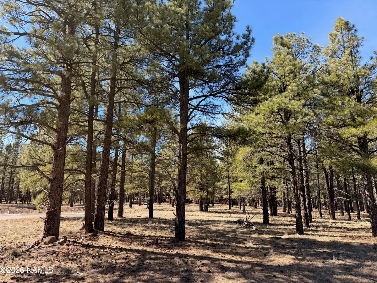 3210 W Northwood Court, Williams, AZ 86046 - #1