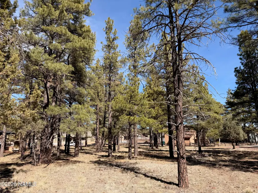 3210 W Northwood Court, Williams, AZ 86046 - #2