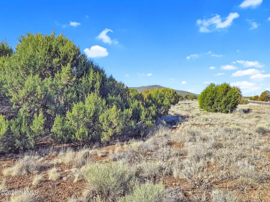 908 E Hoctor Road, Williams, AZ 86046 - #3