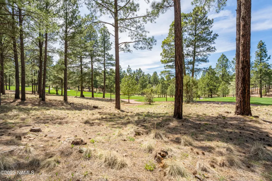 3655 S Woodland Hills Drive, Flagstaff, AZ 86005 - #2