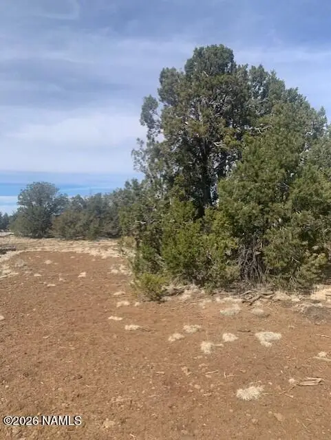 782 E Little Horse Road, Williams, AZ 86046 - #2