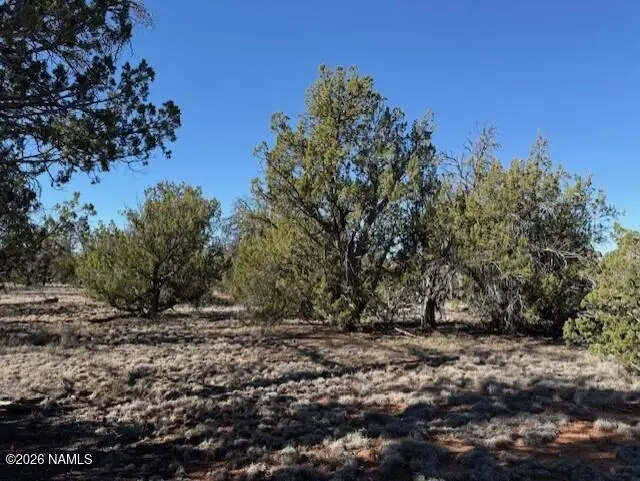 5752 N Hidden Ranch Road, Williams, AZ 86046 - #2