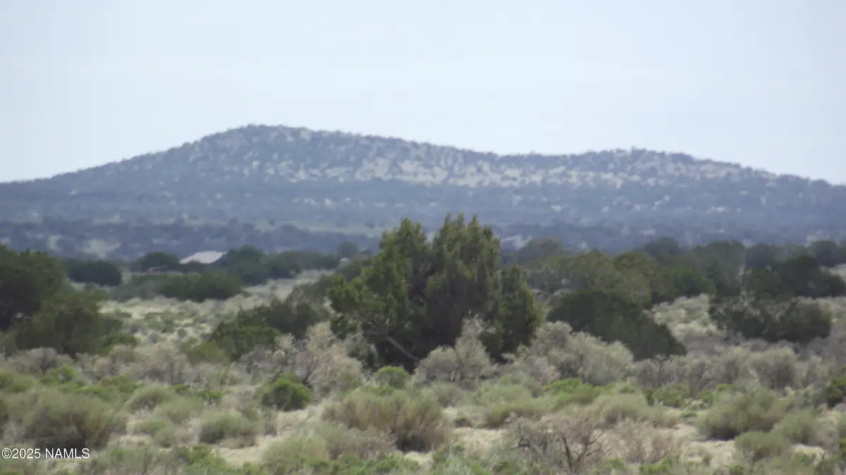 3020 Rudy Road, Williams, AZ 86046 - #1