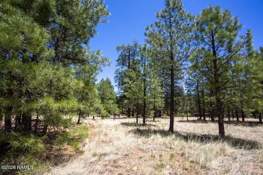 5330 E Nordica Loop, Flagstaff, AZ 86004 - #3