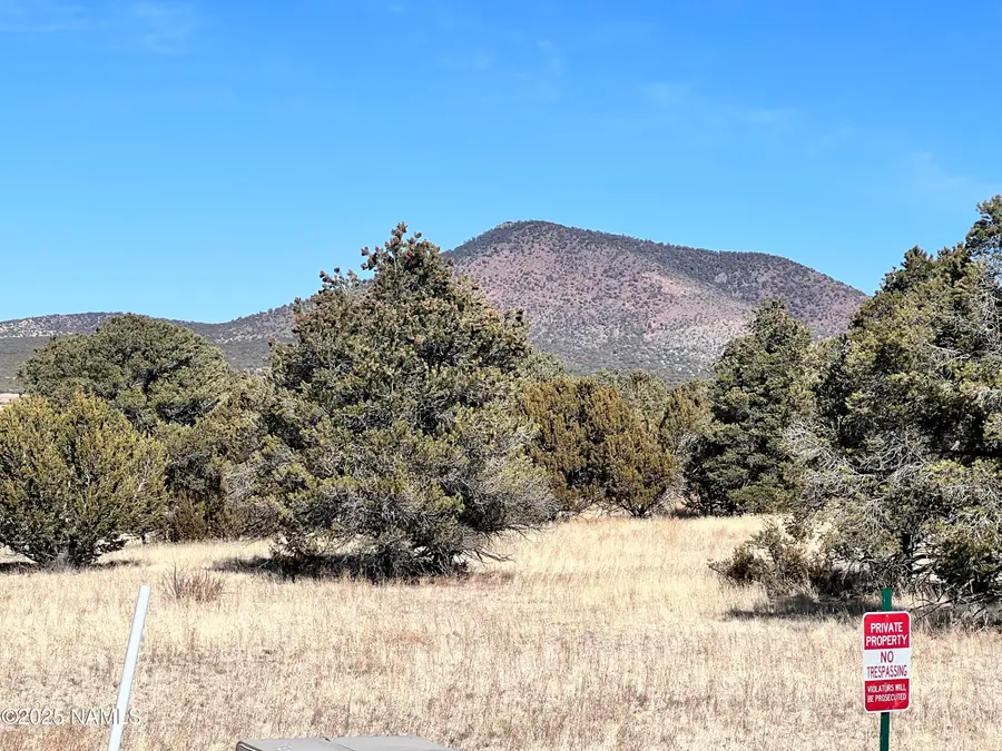 7223 Daisy Drive, Williams, AZ 86046 - #3