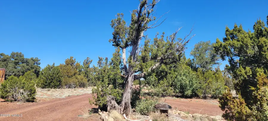 4650 E Juniper Road, Williams, AZ 86046 - #3